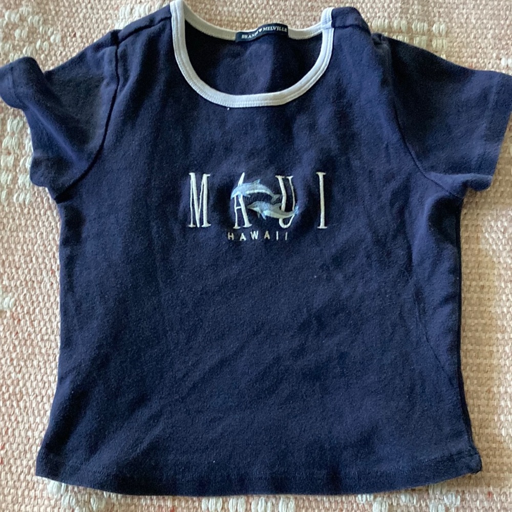 Brandy Melville Blue Maul Top